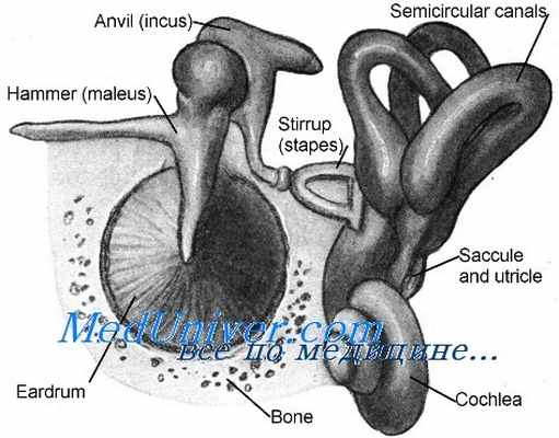 спонтанный вестибулярный нистагм