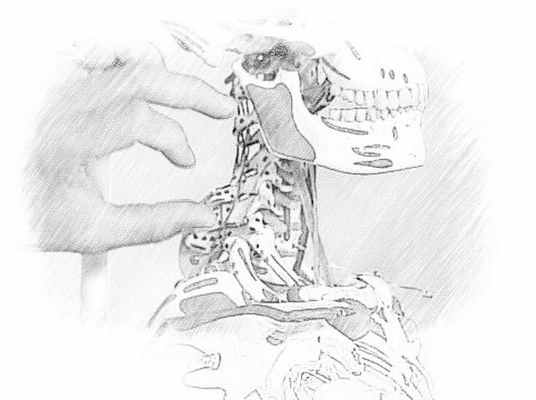 Симптомы и лечение остеохондроза шейного отдела позвоночника