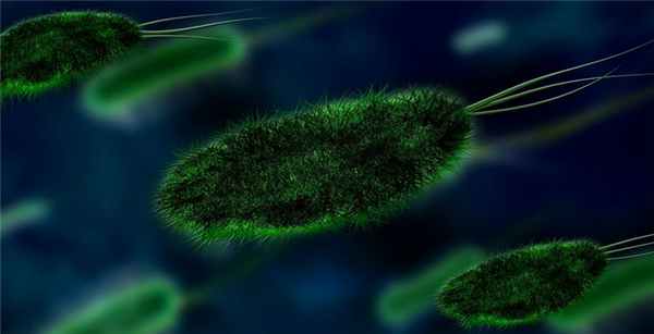 Туберкулез