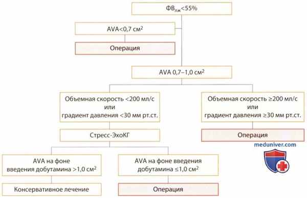 Стресс-ЭхоКГ при аортальном стенозе