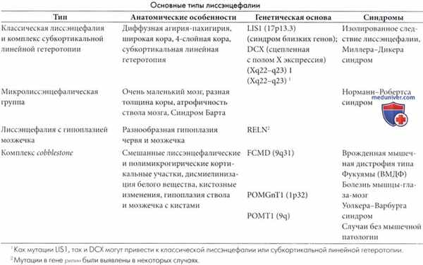 Классификация и типы лиссэнцефалии