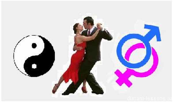 Стадии гаметогенеза