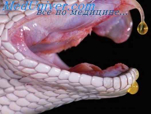 острые отравления