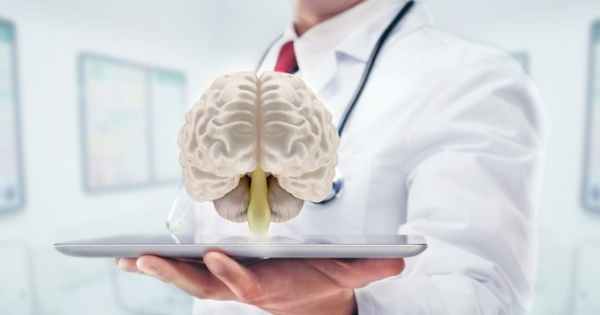 Промежуточный мозг – что общего между отделом ЦНС и гормональным балансом?