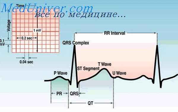 прием антиаритмиков