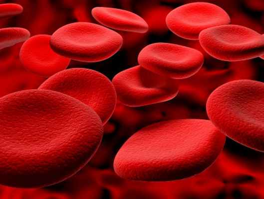 Талассемия (Анемия кули)