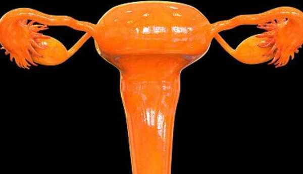 Текоз придатков