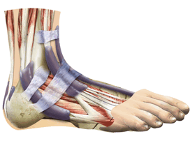 Тендинит голеностопного сустава