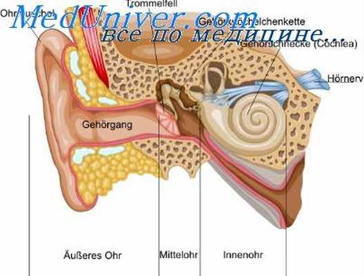 термотравма уха