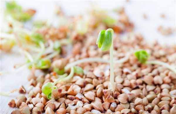 Фото: Shutterstock