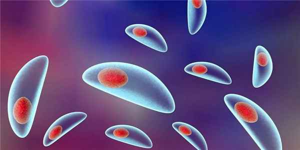 Токсоплазмоз