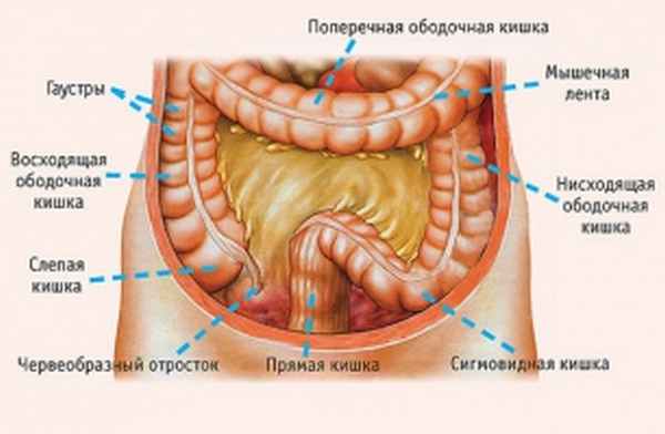 ÐÑÐ´ÐµÐ»Ñ Ð¾Ð±Ð¾Ð´Ð¾Ñной киÑки