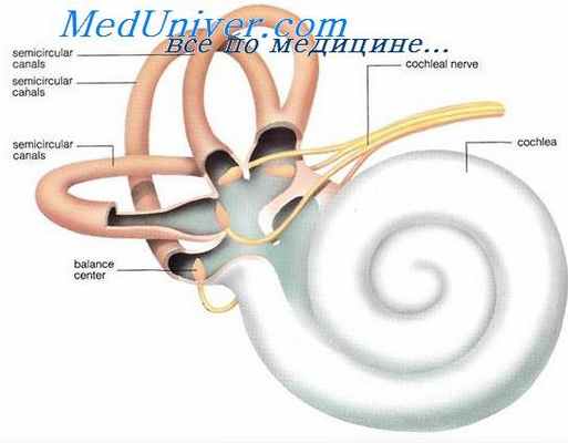 топография лабиринта