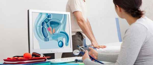 Мужская половая система