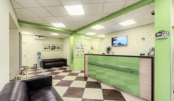 Лечение везикулита в Приморском районе 