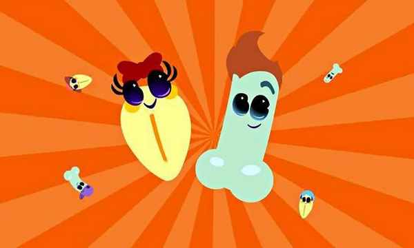 Половые органы: строение, специфические особенности