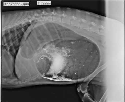 от Пенчуковой.jpg