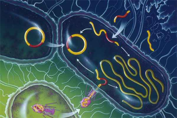 Общая трансдукция