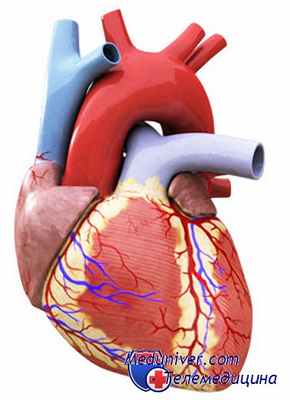 трансплантация сердца