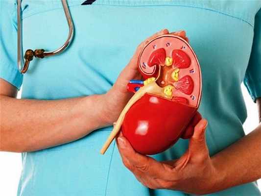 Своевременная диагностика травмы почек