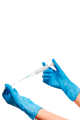 Власоглав (Trichuris trichiura)