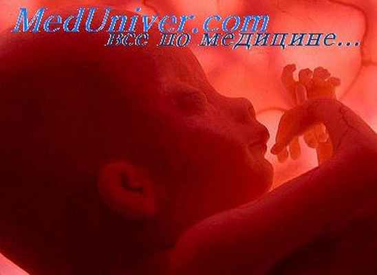 кровоток в плаценте