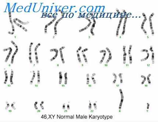 биохимический скрининг