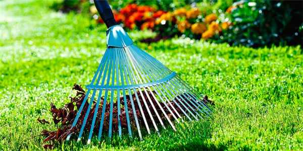 Трудотерапия