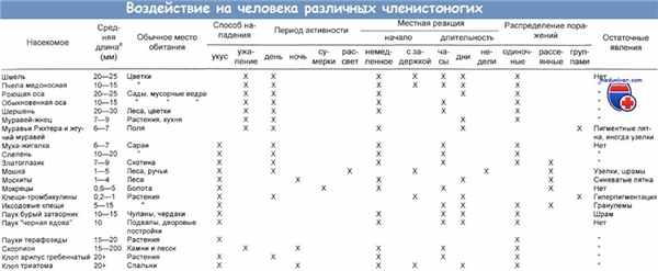 Воздействие на человека различных членистоногих