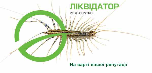 Сороконожка