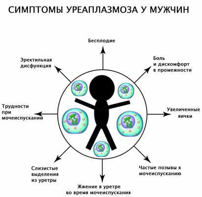 Симптомы уреаплазмоза у мужчин.jpg