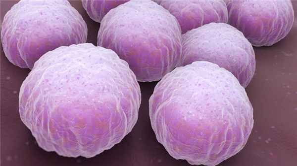 Лечение хламидиоза