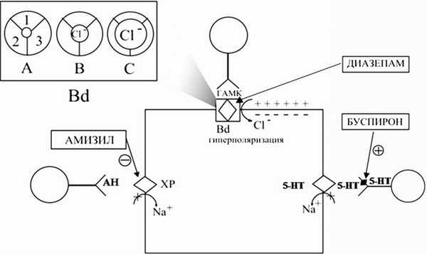 Механизм действия транквилизаторов