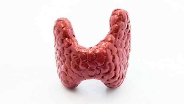 Щитовидная железа