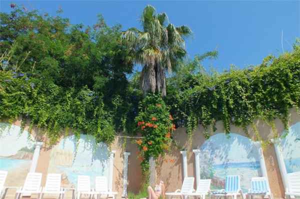 Тюменских туристов временно предостерегают от поездок в Турцию