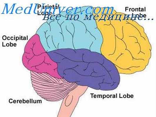 лимбическая эпилепсия