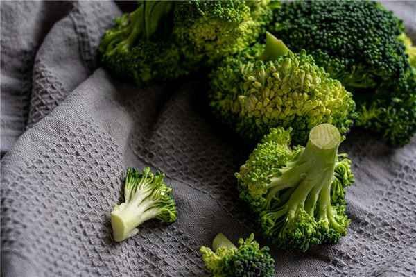 Фото: Castorly Stock/Pexels