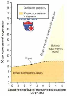 Поддержание осмотического равновесия. Осмотическое равновесие сред организма