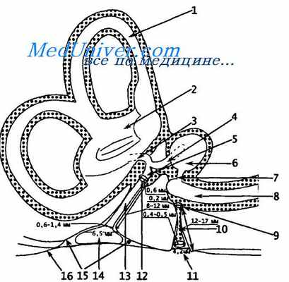 водопровод преддверия