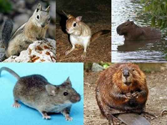 photo 2019 05 11 17 23 45