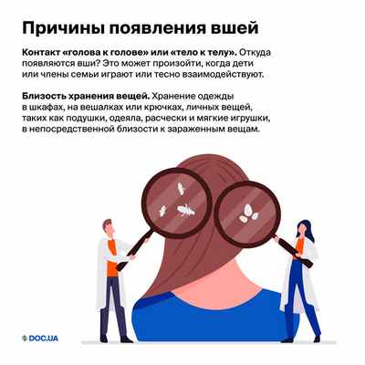 Причины появления вшей