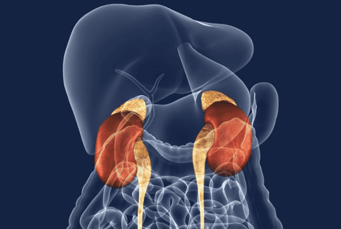 Надпочечниковая недостаточность – лечение, симптомы, причины болезни, первые признаки