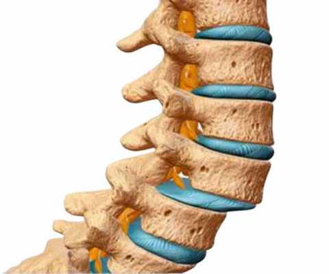 Показания к транспедикулярной фиксации позвоночника