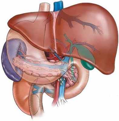 Симптомы заболеваний печени медцентр