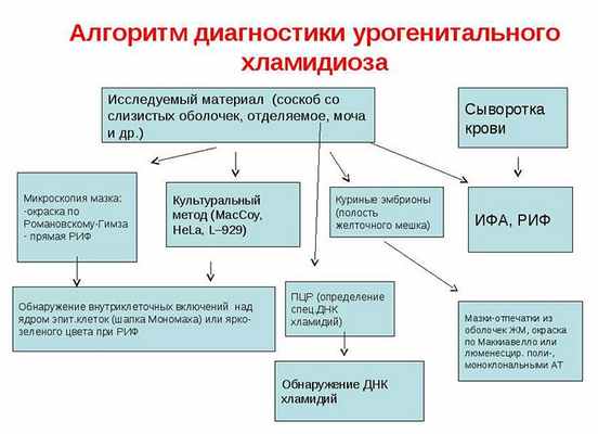Алгоритм диагностики урогенитального хламидиоза