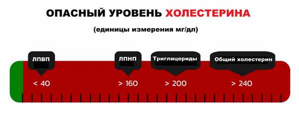 Уровень холестерина.jpg
