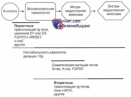 прогерссия множественой миеломы