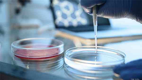 Диагностика хронического лейкоза