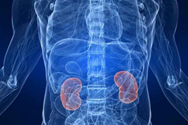 Хроническая почечная недостаточность в разрезе