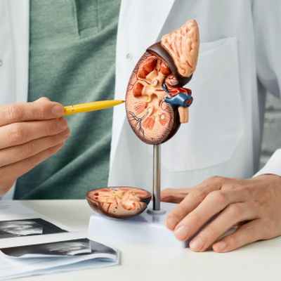 Хронический пиелонефрит